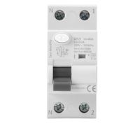 Interrupteur différentiel super immunisé SI 40 A 300 mA, 2P et 6 kA.