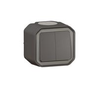 Interrupteur double - Plexo - Anthracite - IP55 - IK08 - 10A