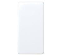 Interrupteur électromécanique, 2 voies, 10A, 230V, en plastique, IP40