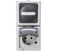 Interrupteur et prise Kopp 130856009 BlueElectric gris