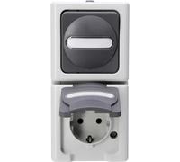 Interrupteur et prise Kopp 130856009 BlueElectric gris