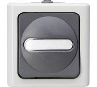 Interrupteur/inverseur Kopp 560756009 BlueElectric gris