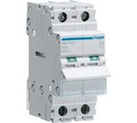 Interrupteur modulaire 2 pôles 63A (SBN263) G