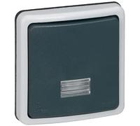 Legrand Interrupteur va-et-vient Plexo 090480 - Étanche à voyant 10A IP66 - Composable - Gris