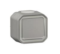 Interrupteur ou va-et-vient témoin 10AX 250V Plexo complet saillie gris (069712L)