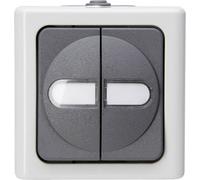 Interrupteur pour gamme Kopp 560556003 BlueElectric gris
