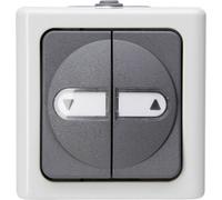 Interrupteur pour stores Kopp 561556004 BlueElectric gris