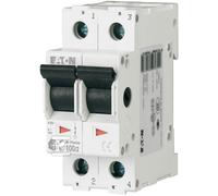 Disjoncteur modulaire 100A 2P HIS-100/2 142829