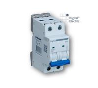 Interrupteur sectionneur 2x40A - Digital electric 04154