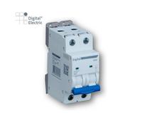 Interrupteur sectionneur 2x63A - Digital electric 04156