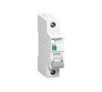 Interrupteur-sectionneur RESI9 1P 40A