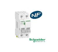Schneider Electric - Resi9 - interrupteur-sectionneur 2P 63A - R9PS263