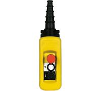 Interrupteur suspendu Schneider Electric XACA2913