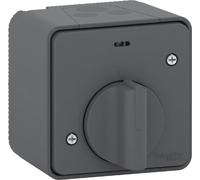 Schneider Electric - Mureva Styl, Interrupteur Temporisé LED, Saillie, IP55, IK08, Gris - MUR35067