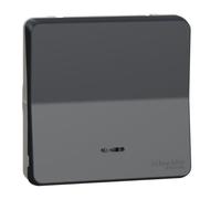 Interrupteur va-et-vient lumineux - SCHNEIDER ELECTRIC - MUREVA STYL - IP55 - 10 AX - Gris