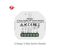 (Interrupteur ZigBee 2 Gang)Module de commutateur Wi-Fi intelligent Moes Zigbee Variateur de lumière