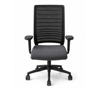 Interstuhl HERO 172H Chaise de bureau