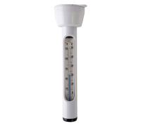 Intex - 59634 - Accessoires Piscines - Thermomètre De Piscine