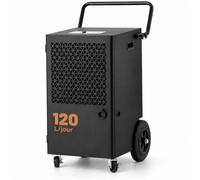 iOCHOW Déshumidificateur Professionnel 120L/J Chantier et Entrepôt | Déshumidificateur Industriel 300m² / 600m³ Évacuation Gravitaire Minuteur 24H Roulettes Freins Dégivrage Auto