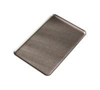 Ioensy Plat de Service Rectangulaire, Plaque de Cuisson Au Four, Plat à Dessert Multifonction En Acier Inoxydable pour La Salle à Manger, 30cmx20cm