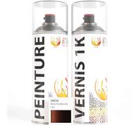 ipixline Kit Retouche Peinture Carrosserie Voiture - Bombe Aérosol Peinture Auto 400 ml, Vernis Brillant 1k 400 ml - Compatible avec Dacia - Brun Tourmaline CNG