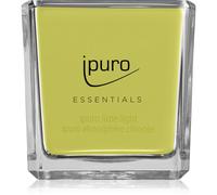 ipuro Essentials Lime Light bougie parfumée 125 g