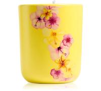 ípuro Travel The World Hawaii bougie parfumée à couvercle 270 g
