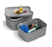 Iris Ohyama, Boites de Rangement dressing plastique, 6L, Lot de 3, Gris, SNL-S
