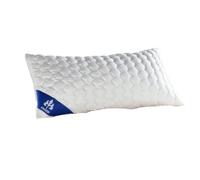 IRISETTE Badenia Comfort, Coussin Vitamed, 80 x 80 cm, Blanc