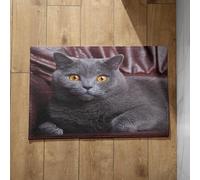 Isdreem Tapis de Cuisine Grande Taille Paillasson Fin Chat Tapis de Cuisine Lavable en Machine Et Antidérapant Tapis D'Entrée Intérieur Antidérapant, 50x80cm