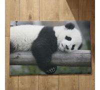 Isdreem Tapis de Porte Fenetre Grand Tapis Entrée Intérieur Panda Tapis de Cuisine Antidérapant Et Lavable Long Paillasson Exterieur Entree Original, 40x60cm