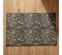 Isdreem Tapis de Sol Exterieur Paillasson Multicolore Théière Cuisine Industrielle D'Entrée Intérieur Antidérapant Séchage Rapide, 40x60cm