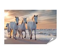 islandburner Image Poster Chevaux Blancs Camargue France Troupeau Premium Images Photo Photo