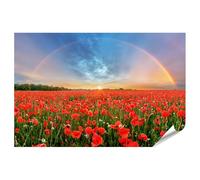 islandburner Poster Champ de coquelicot avec arc-en-ciel et coucher de soleil pour les amoureux de la nature - Standard