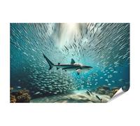 islandburner Poster XXL Requin et poissons dans l'océan - Impression photo de qualité supérieure