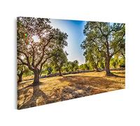 islandburner Tableau sur Toile Bosquet d'oliviers dans Le Salento Pouilles Italie Cadre Affiche Poster Murale Tableaux