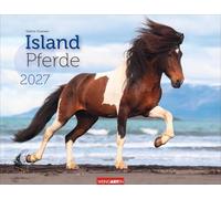 Islandpferde Kalender 2027: Fotokalender mit Porträts der charaktervollen Pferderasse. Großer Wandkalender von Sabine Stuewer. 44 x 34 cm Querformat