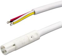ISOLED Câble de connexion RVB mini-prise mâle, 1 m, à 4 pôles, IP42, blanc, max. 48V - Accessoires divers