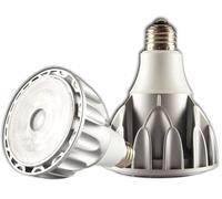 ISOLED LED PAR30, E27, 230 V, 32 W, 30°, blanc neutre - Lampes LED socle E27