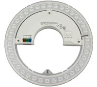 ISOLED Platine de conversion LED 227mm 15W 160 lm/W avec aimant de maintien Colorswitch - Accessoires LED