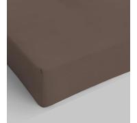 Italian Bed Linen Max Color Drap-Housse, 100 % Coton, Marron, 1 Place