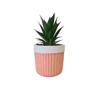 ITEM INTERNATIONAL Cache-pot garni Boho Rose en grès - Hauteur 20 cm - Diamètre 10 cm