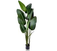 IvoQ Strelitzia Plante Artificielle 180 cm - Grande Plante Artificielle Intérieure et Extérieure - Design Réaliste - Sans Entretien - Durable & Stable - Plante Ornementale Tropicale
