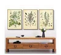 iYoucase Persil Sauge Romarin Affiche Imprimer Thym Culinaire Murale Art Tableaux Toile tableau Peinture Cuisine Decoration Épices Herbes Vintage Botanique 40x60cmx3 Sans Cadre