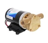 Jabsco Puppy 2000 32lt/min 1/2´´ Water Pump 12v Doré 184 x 120 x 84 mm
