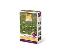 Jachère fleurs sauvages 50 à 100 m2