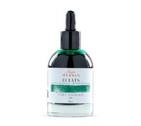 Jacques Herbin 16545TAMZ Encre Bx-Arts aquarelle Éclats-Vert anglais 50ml