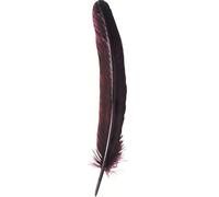 Jacques Herbin 23126T Plume d'oie 28cm bordeaux X10