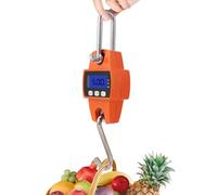 Jadeshay Peson Electronique, 300 KG 660 lb Balance de Grue Numérique Balance Suspendue Industrielle Balance Electronique Avec Crochet pour Pesage au Quai, Pêche