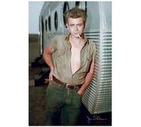 James DEAN - 61x91,5 cm - AFFICHE / POSTER G